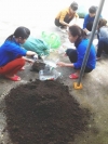 Đoàn thanh niên tổ chức xây dựng vườn rau thanh niên